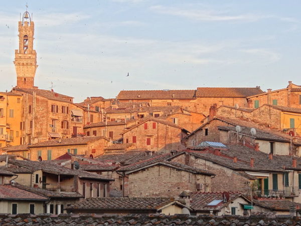 Siena at sunset