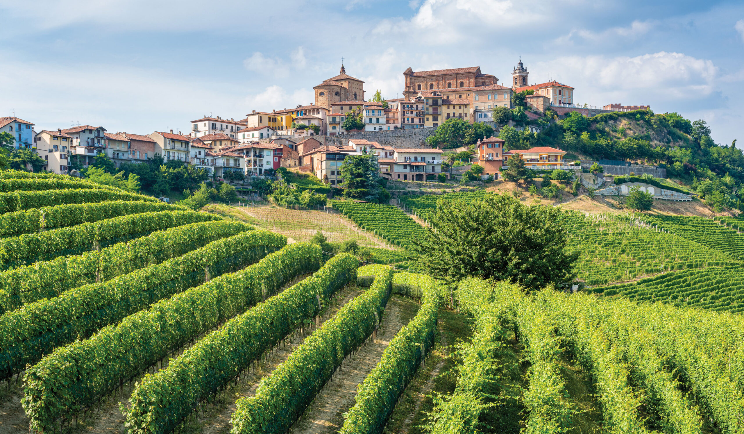 A Week in Piedmont 2026