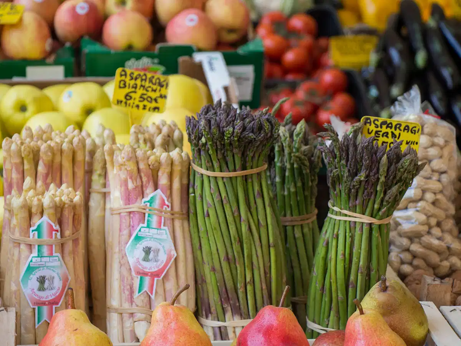 Gastronomic Veneto Tour