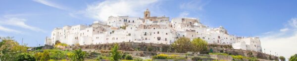 Local Tour of Puglia 2027 tour image