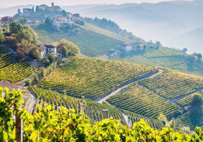 Piedmont Truffle Bike Tour | 6-Day Cycling Tour tour