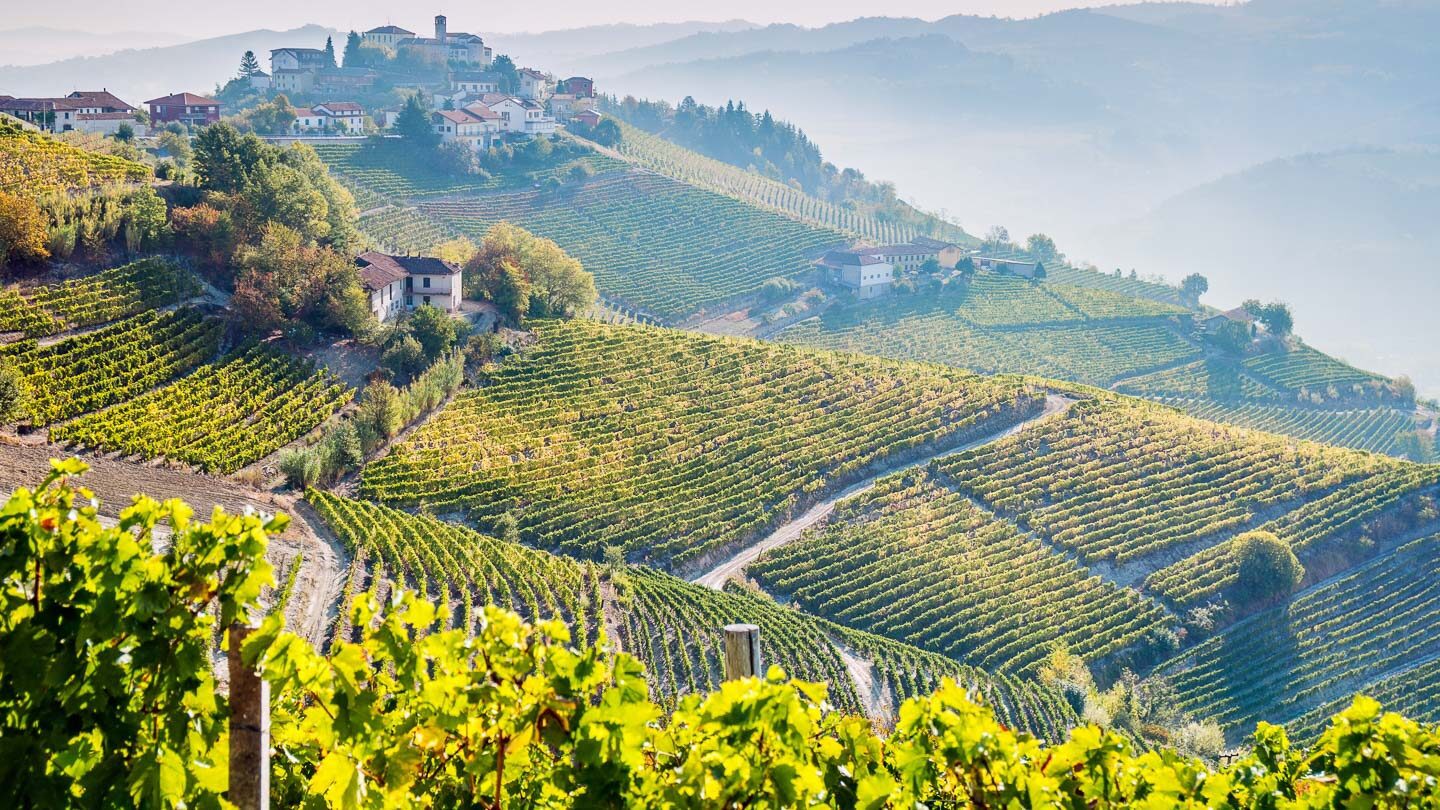Piedmont Truffle Bike Tour